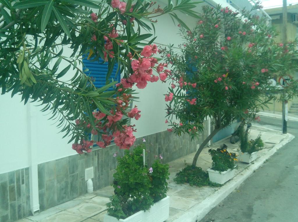Pension Gina Methana Exterior photo